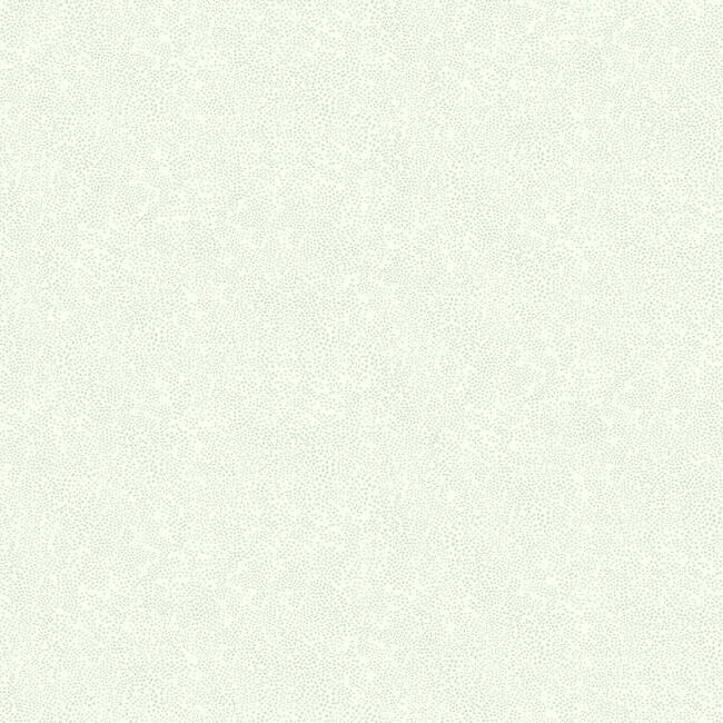 Thumbnail 21